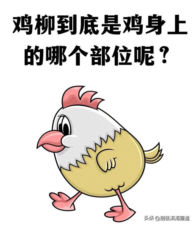 美记炮轰拉科布是篮球界罪恶:库里为他赚105亿,过去13年仅交易4首轮