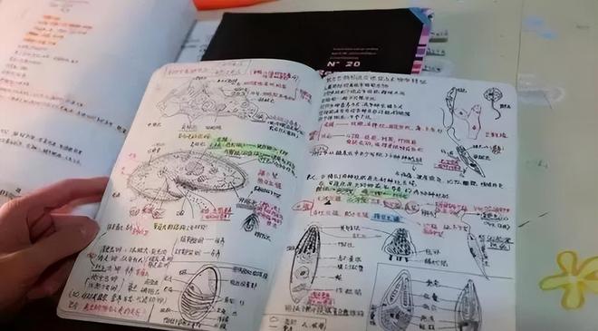 权力的诱惑!赛后庆祝队长袖标重回姆巴佩身上,曾为此不惜得罪队友