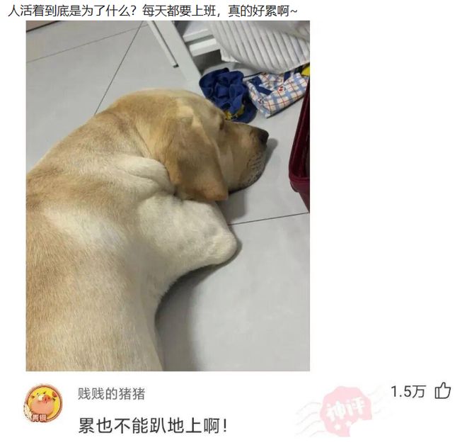 张家齐支出账单曝光！日常支出太吓人了