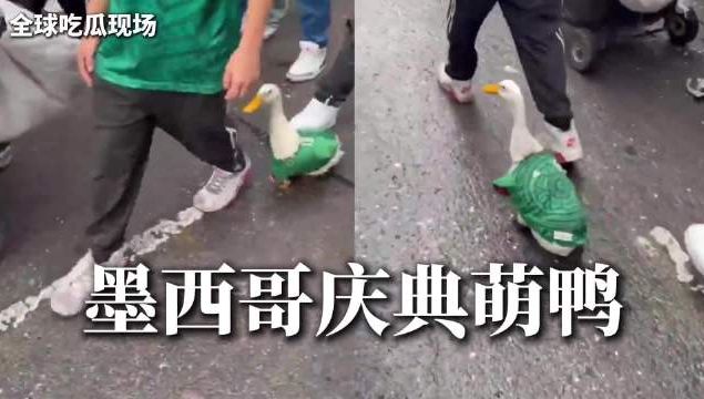 掘金休赛期优先交易布劳恩