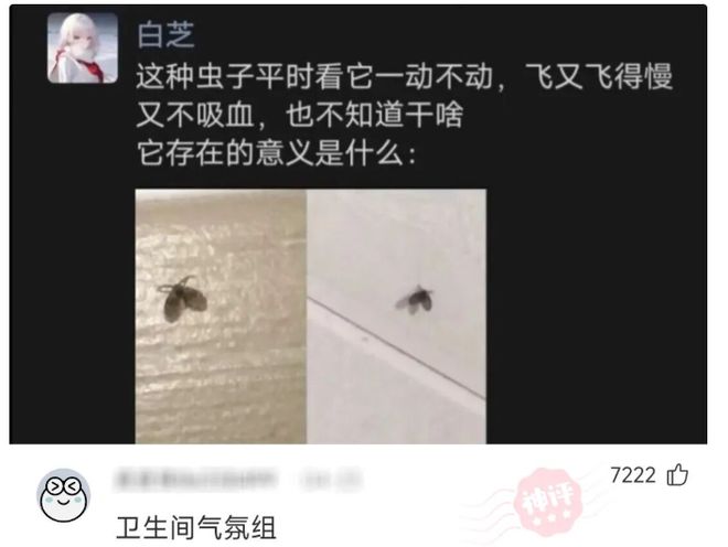 世界杯|比赛当天恰逢34岁生日,但萨拉赫未能用队史首胜庆生